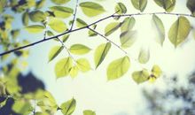 形容活着开心最重要的句子