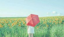 以开心就好的句子