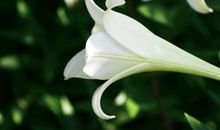 感人的亲情陪伴句子