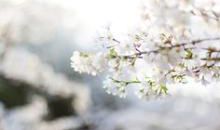 关于陪伴亲情的句子说说心情