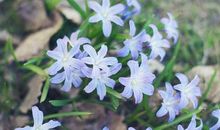 亲情离别的句子说说心情短语