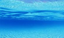 写一组歌颂人间亲情的泪的句子