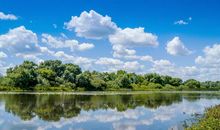 描写夏天景色的句子