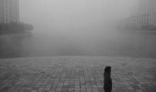 迷茫无助的句子