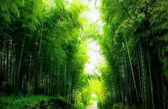竹词1