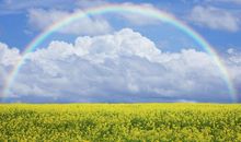 关于亲情家族的句子