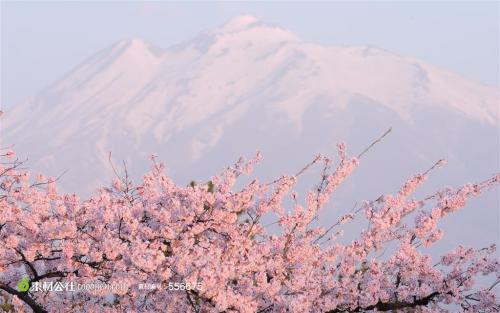 12.“蜻蜓”在空中跳舞；几只“鸟”在云中互相追逐，哦，他们在玩捉迷藏的游戏……我被它迷住了，仿佛在风筝世界中飞翔。