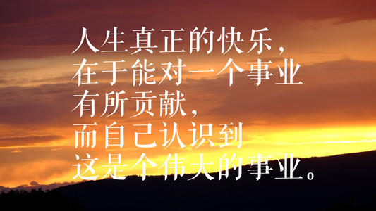 作家的名言