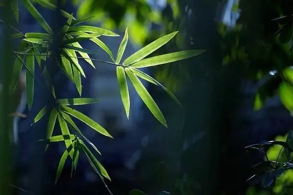 修身格言1