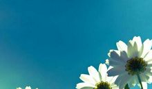 表白可以用的情话开心句子