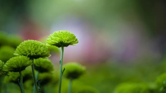 10.家庭之情是一瓢瓢泼的雨水，在春天飘来，使孤独和寂寞的人干dry了灵魂。