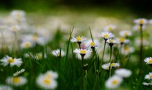 说亲情重要的句子