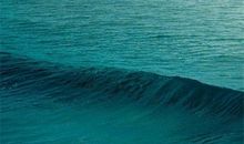 代表岁月亲情的句子