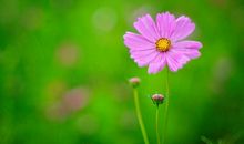 男朋友说祝我开心的句子