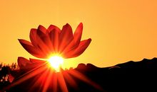 人情世故的句子