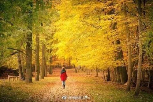 10.我能感觉到您的心痛，有无法分辨的无助，但您的态度冷漠，越是这样，我就会越不自在。