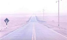 抒情的句子大全亲情