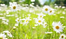 亲情笑中带泪现实的句子