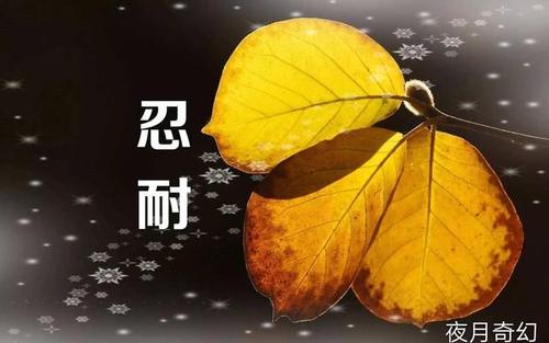 忍耐行情2