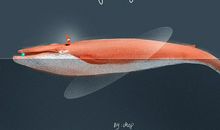 唯美励志晚安的句子