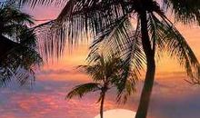 亲情生活启示录的句子