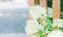 关于亲情有爱的句子