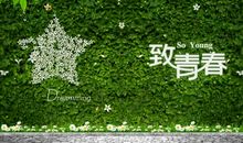 描写青春的句子