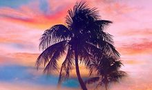 形容保护亲情的句子