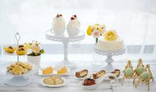 描写朋友开心的优美句子大全