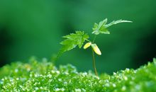 励志的句子说说心情第六期