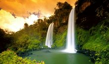 形容没有亲情的句子