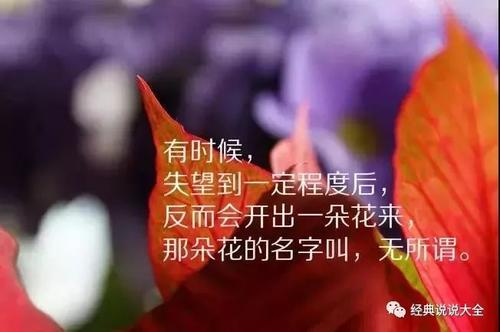 10.如何摆脱爱情的痛苦。我知道我过去的希望。如何摆脱爱情的痛苦。我知道我没有希望。
