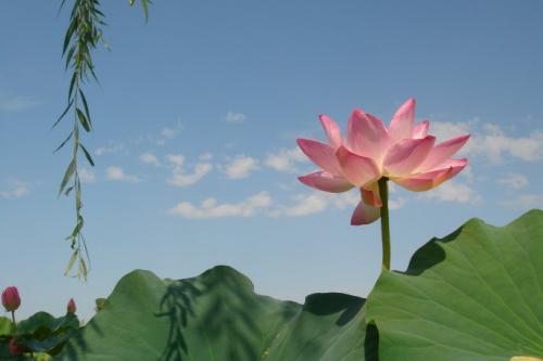 歌词2