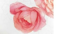 煽情描写亲情的句子