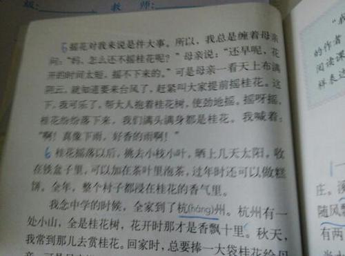 环境说明