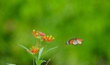 亲情让人暖心的句子