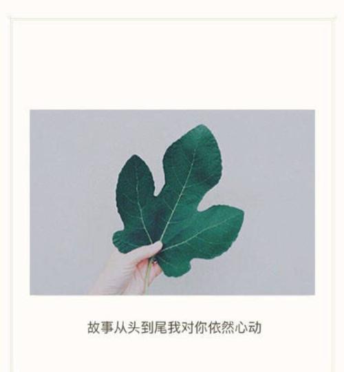 10.每个人都有一个只能查看信息但不能添加信息的朋友。我将继续生活，您走得很慢，不要回头。和解是如此容易，它像以前一样困难，您是我的喉咙里的一根刺，如果拔出它会很痛，吞下它会死。
