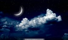 说兄弟姐妹亲情的句子