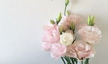 关于亲情健康的短句子