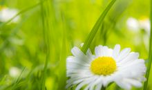 有关亲情很糟的句子