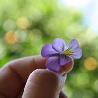 10.家庭的感情，就像秋天的阳光一样，总能在凄凉的风雨中温暖失丧者的心。