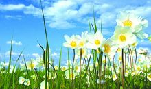 愿你开头的句子