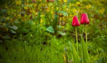 关于亲情的启示句子