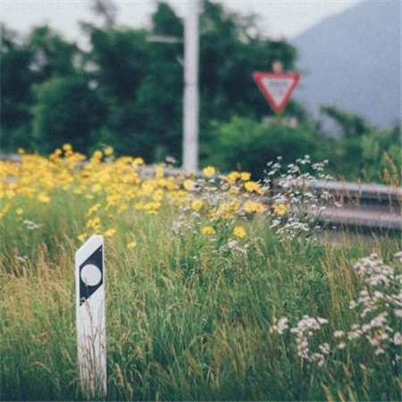 10.亲情是航行中的港口。当我们一次又一次地撞击岩石时，我们慢慢驶入