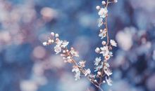 向前看多想开心的句子