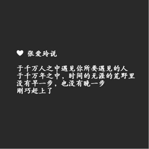 不相信爱情句子
