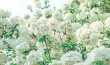 想念亲情的句子说说心情短语