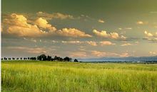 描写夏季的句子