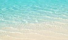 血浓于水的亲情的句子