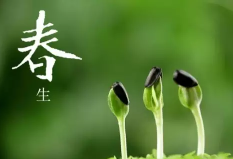春季抒情诗1